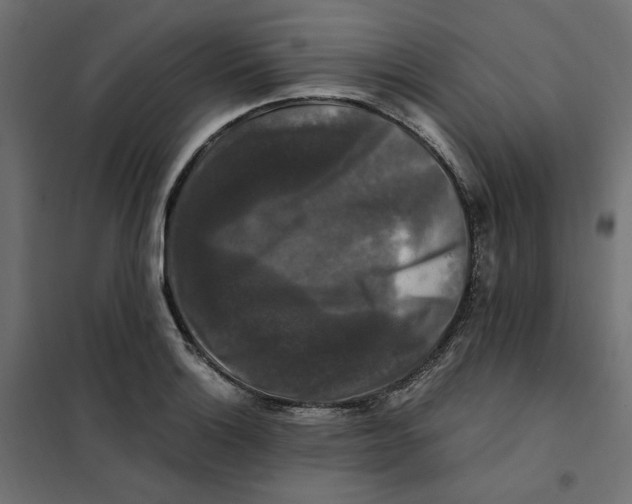 X0000101411132200807281019