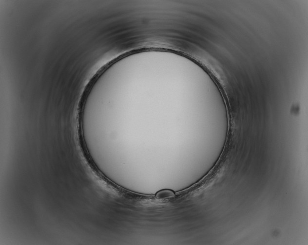 X0000101411133200807281019