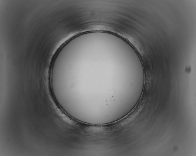 X0000101411134200807281019