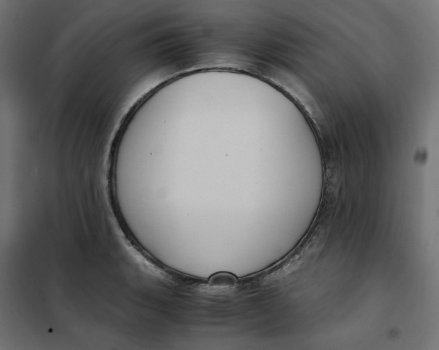 X0000101411135200807281019