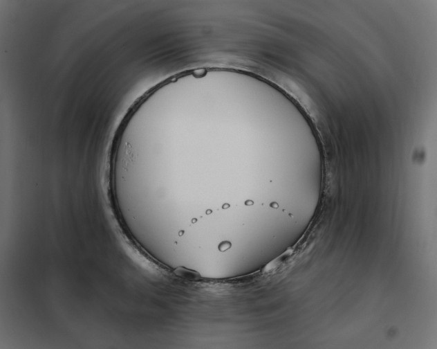 X0000101411136200807281019