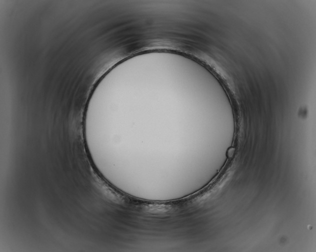 X0000101411137200807281019