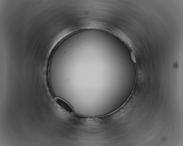 X0000101411138200807281019