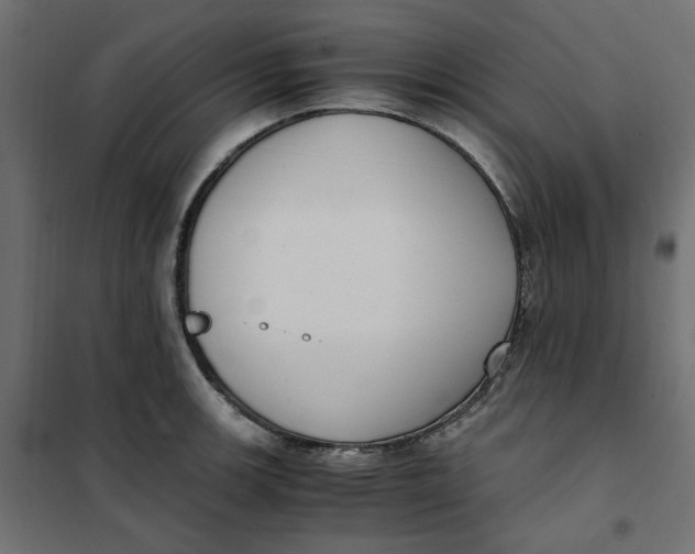 X0000101411139200807281019