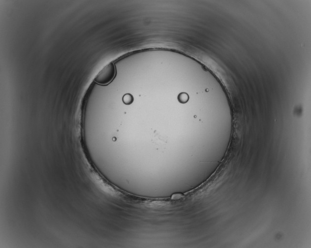 X0000101411140200807281019