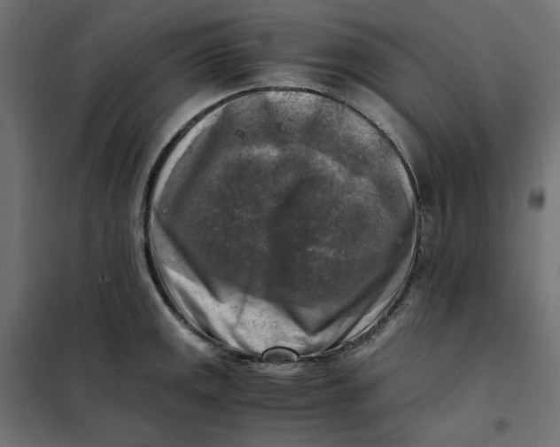 X0000101411141200807281019