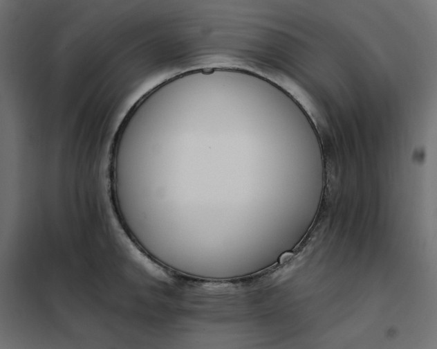 X0000101411142200807281019