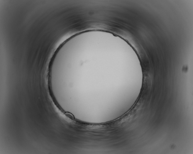 X0000101411143200807281019