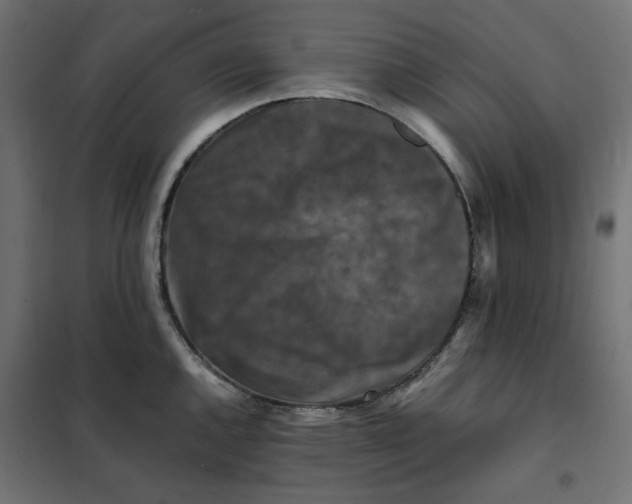 X0000101411144200807281019