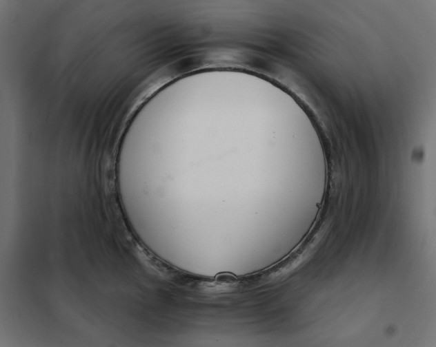 X0000101411145200807281019