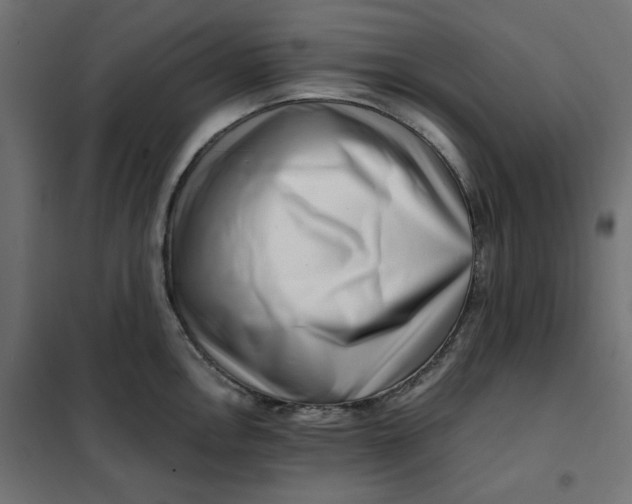 X0000101411146200807281019