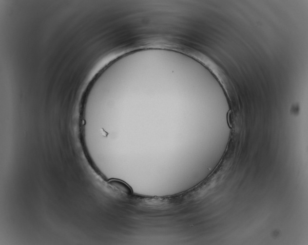 X0000101411147200807281019