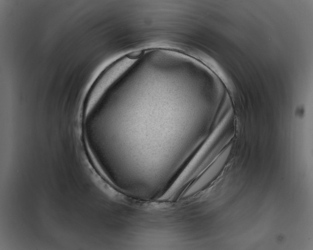 X0000101411148200807281019