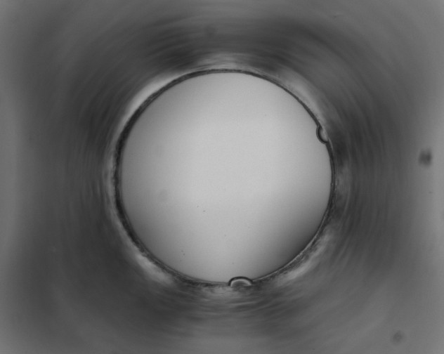 X0000101411149200807281019