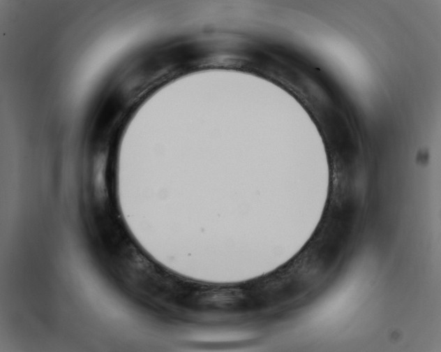 X0000101411150200807281019