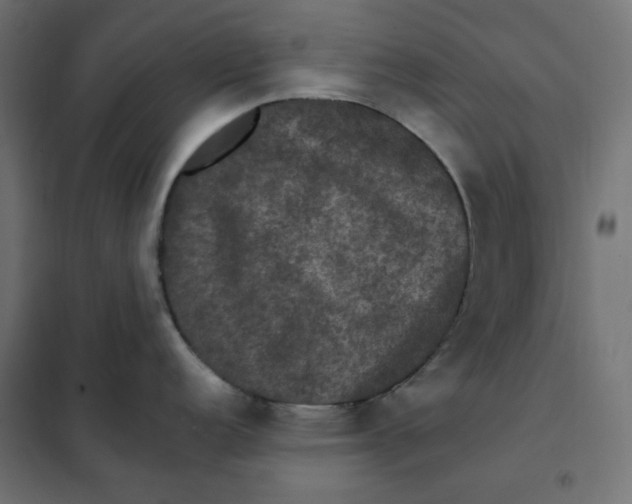 X0000101411152200807281019