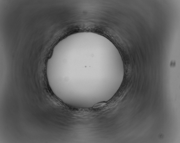 X0000101411153200807281019