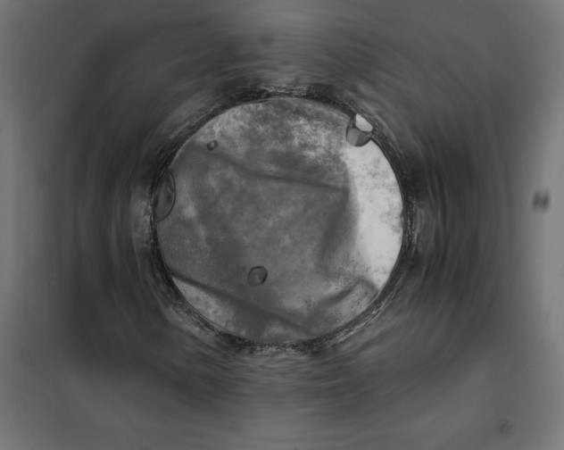 X0000101411154200807281019