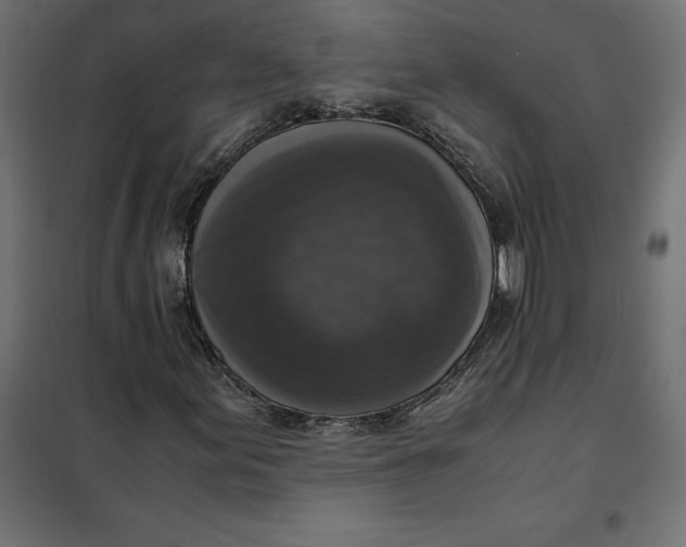 X0000101411155200807281019