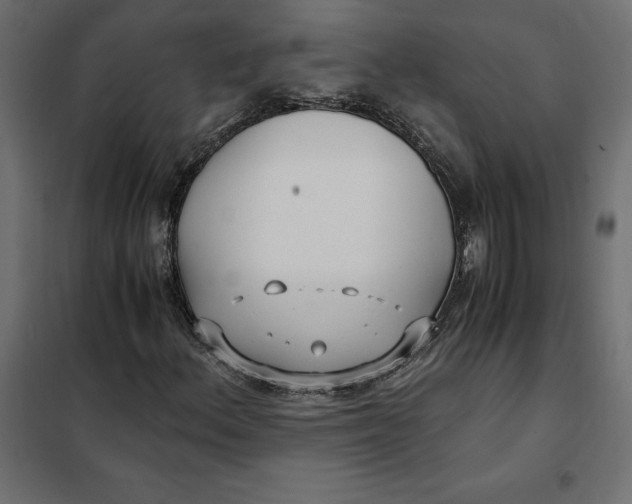 X0000101411156200807281019