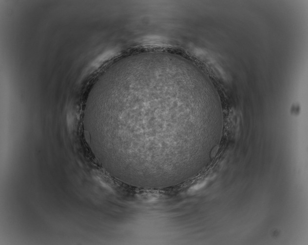 X0000101411157200807281019