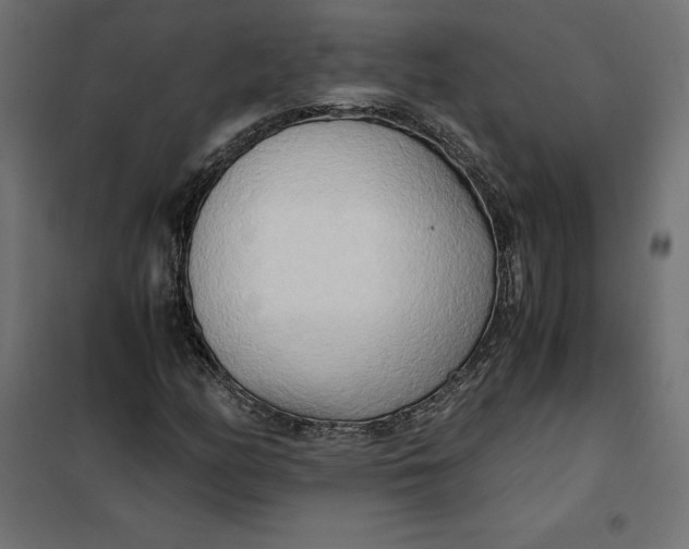 X0000101411158200807281019