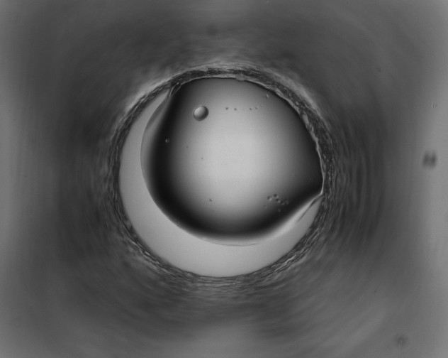 X0000101411160200807281019