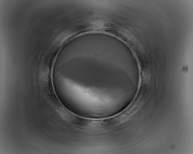 X0000101411161200807281019