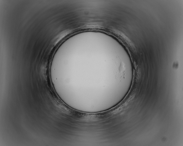 X0000101411162200807281019