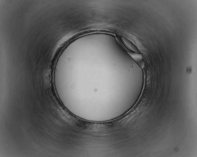 X0000101411164200807281019