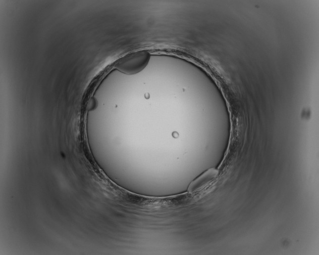 X0000101411165200807281018