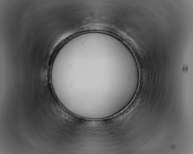 X0000101411166200807281018