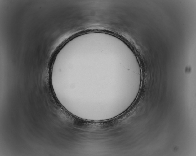 X0000101411167200807281018