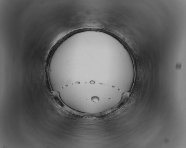 X0000101411168200807281018