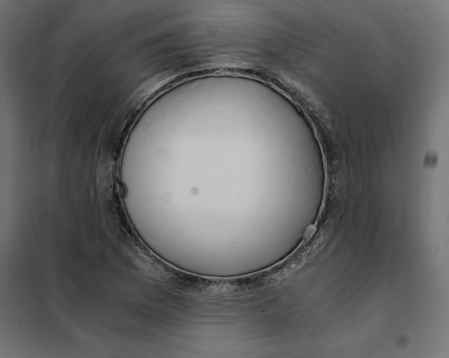 X0000101411169200807281018