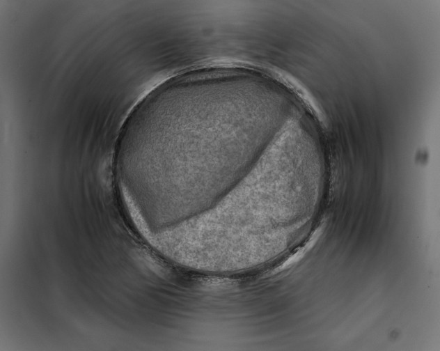 X0000101411170200807281018