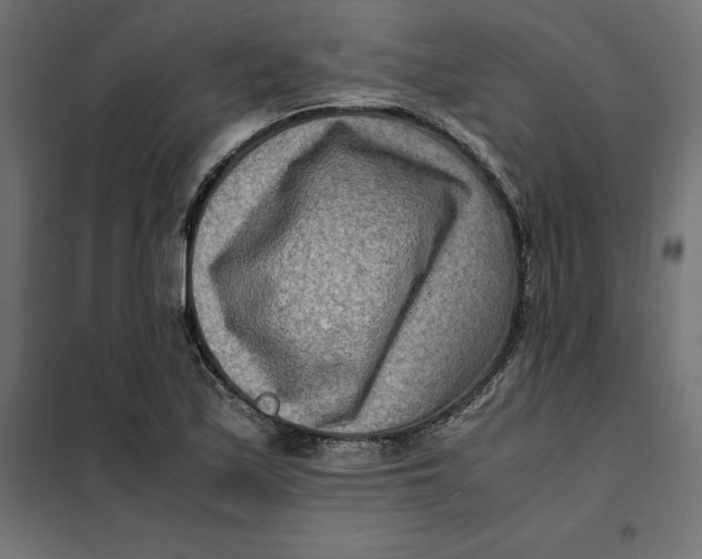 X0000101411171200807281018