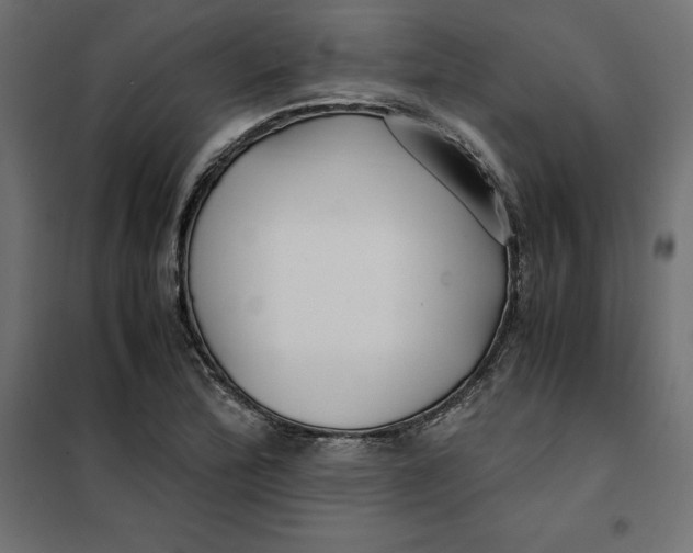 X0000101411172200807281018