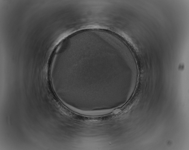 X0000101411173200807281018