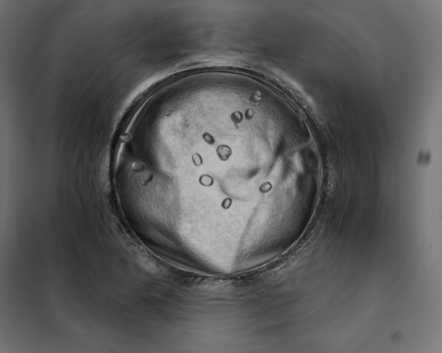 X0000101411174200807281018