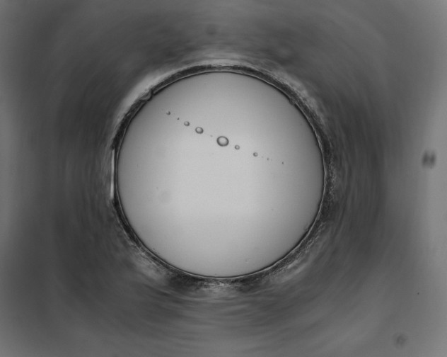 X0000101411175200807281018