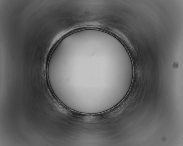 X0000101411176200807281018