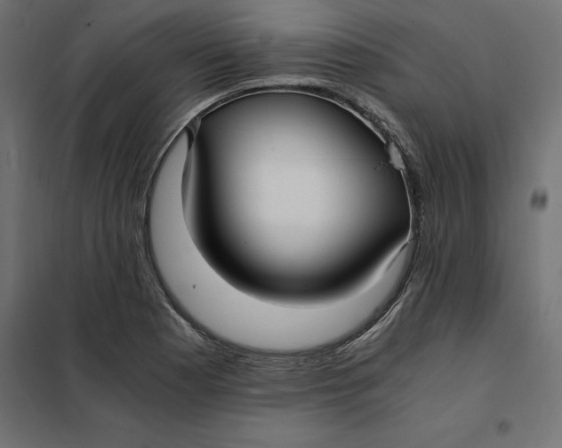 X0000101411177200807281018