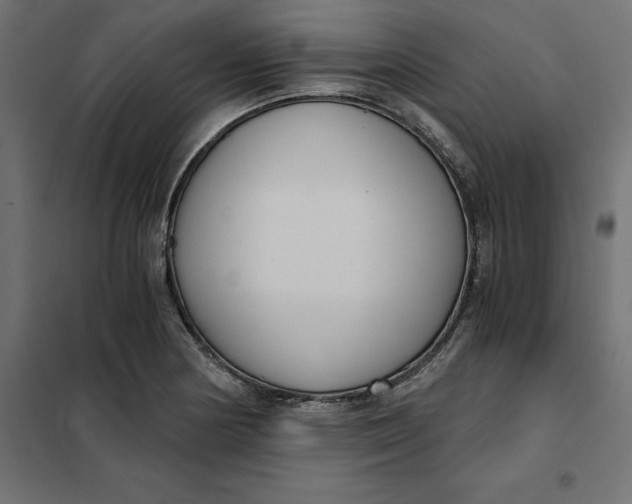 X0000101411178200807281018