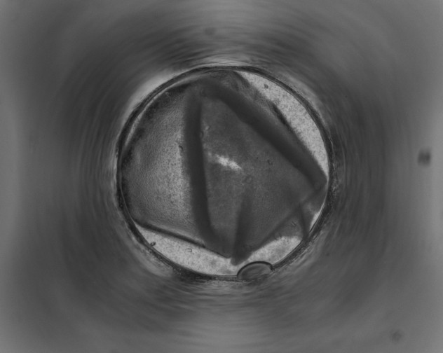 X0000101411179200807281018