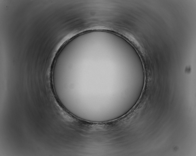 X0000101411181200807281018