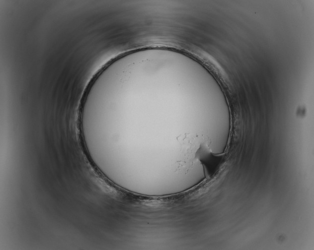 X0000101411182200807281018