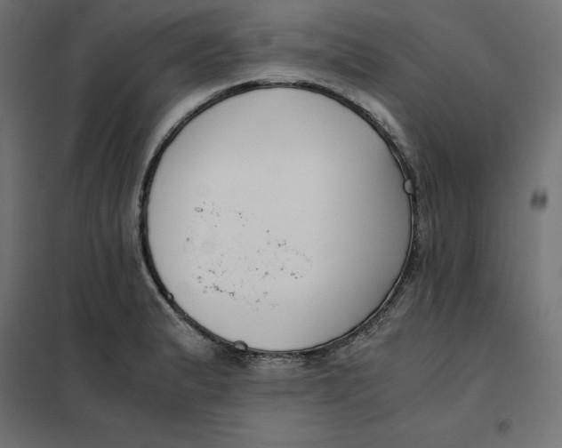 X0000101411183200807281018