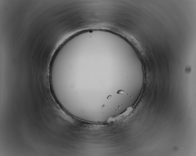 X0000101411184200807281018