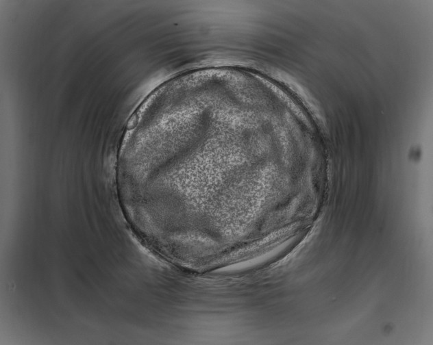 X0000101411185200807281018